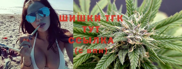 не бодяженный Туринск