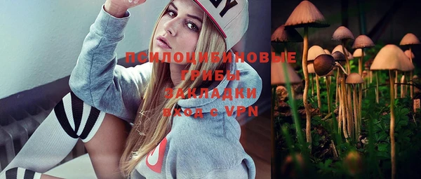 spice Тында
