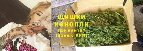 spice Тында