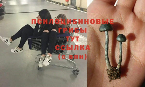 spice Тында