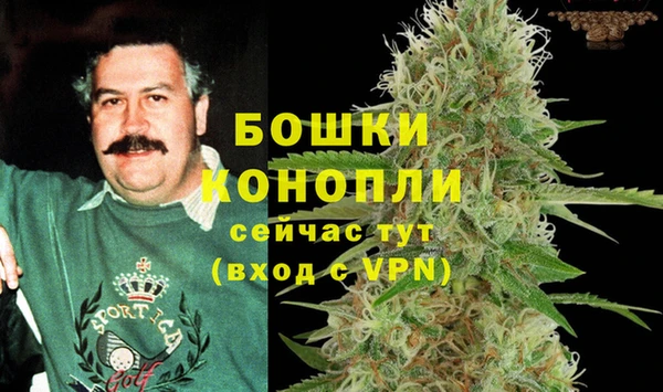 spice Тында