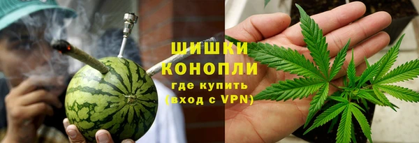 spice Тында