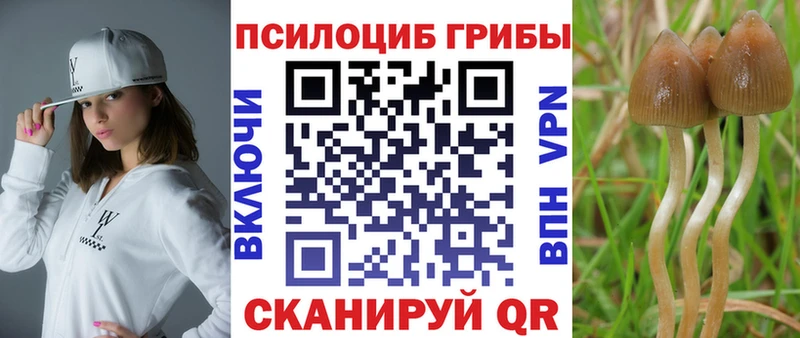 Галлюциногенные грибы MAGIC MUSHROOMS  Агрыз 